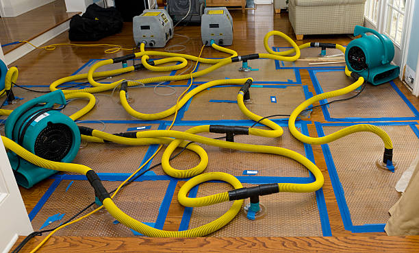 Professional Water Damage Repair technician working in Caledonia, WI